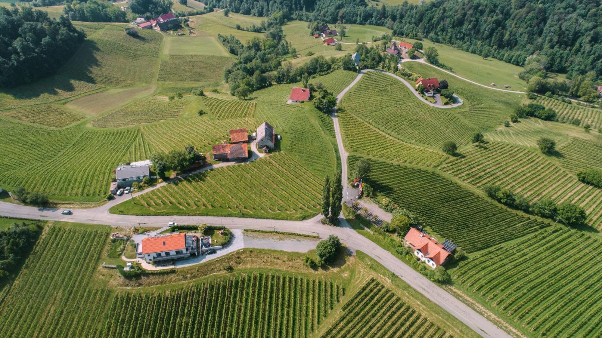 Weinstrassenapartment Fam. Dietrich Ratsch an der Weinstraße Exteriör bild
